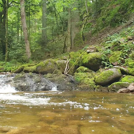 Apartament Family & Parking