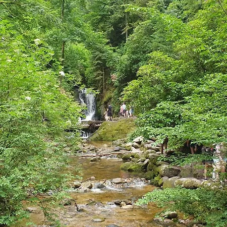 Family & Parking באדן-באדן