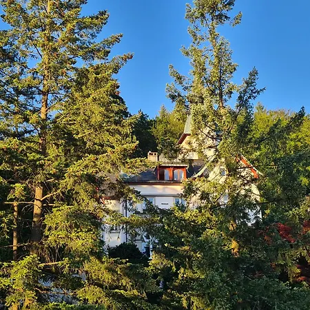 Family & Parking Appartement Baden-Baden