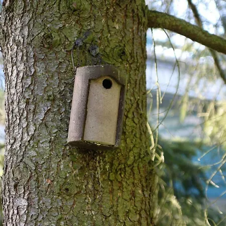 Family & Parking Apartament *