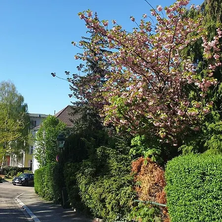Family & Parking Apartment Baden-Baden