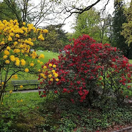 דירה Family & Parking