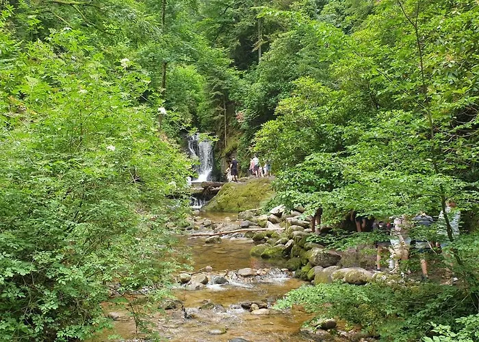 Family & Parking Baden-Baden