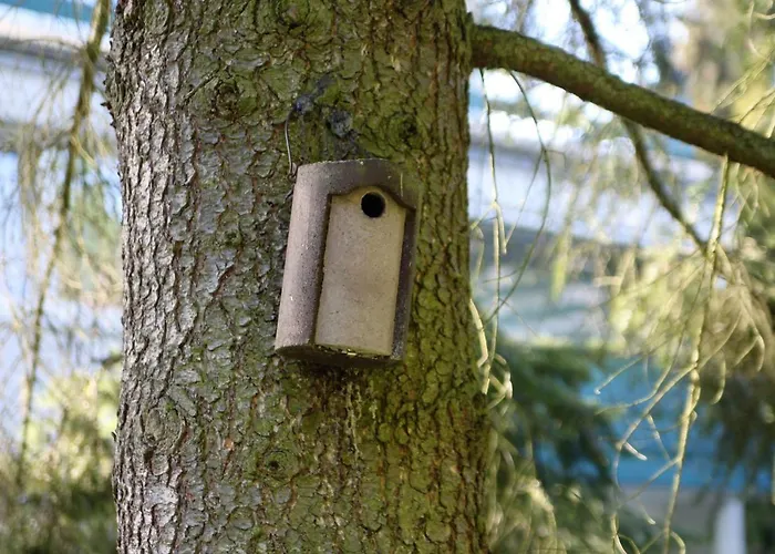 Family & Parking Appartement *